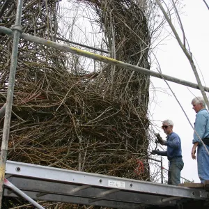 Toad Hall Construction