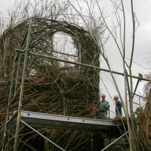 Toad Hall Construction