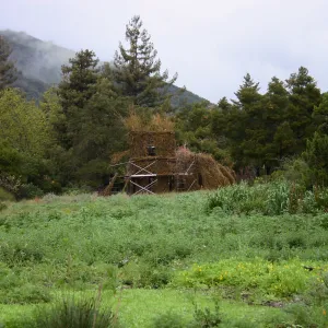 Toad Hall Construction