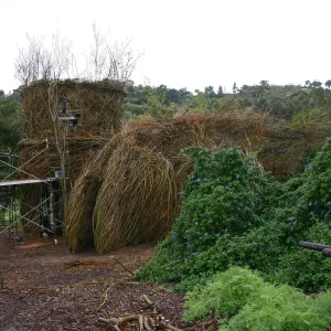 Toad Hall Construction