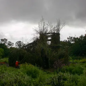 Toad Hall Construction
