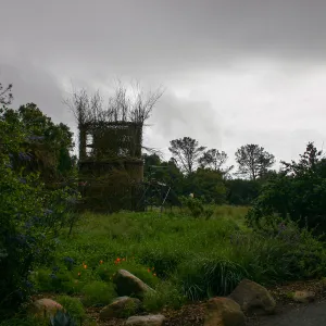 Toad Hall Construction