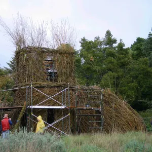 Toad Hall Construction