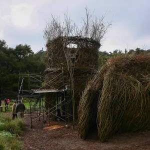 Toad Hall Construction