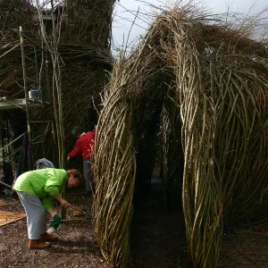Toad Hall Construction