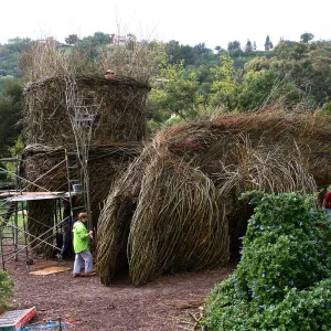 Toad Hall Construction