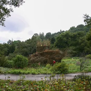 Toad Hall Construction