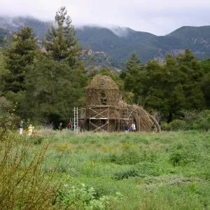 Toad Hall Construction