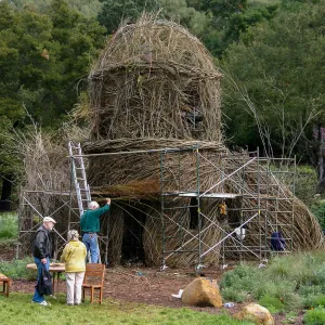 Toad Hall Construction