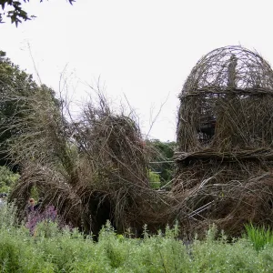 Toad Hall Construction