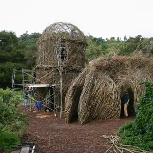 Toad Hall Construction