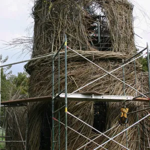 Toad Hall Construction