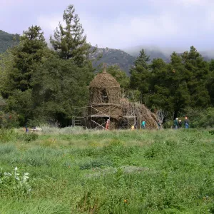 Toad Hall Construction