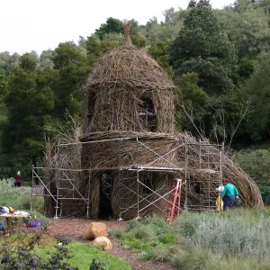 Toad Hall Construction