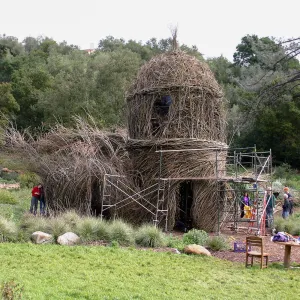 Toad Hall Construction