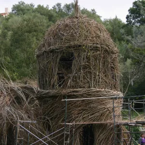 Toad Hall Construction