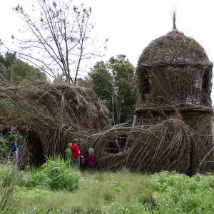Toad Hall Construction