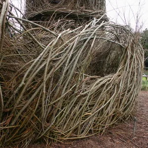 Toad Hall Construction