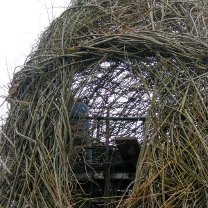 Toad Hall Construction