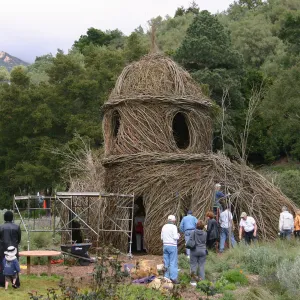 Toad Hall Construction
