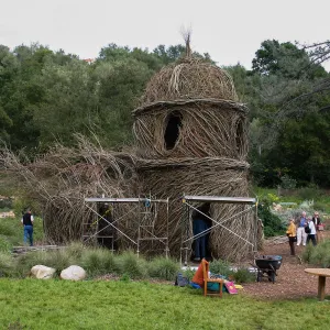 Toad Hall Construction