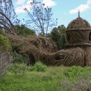Toad Hall Construction