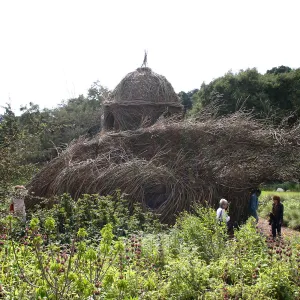 Toad Hall Construction