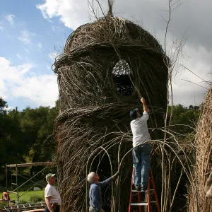Toad Hall Construction