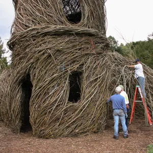 Toad Hall Construction