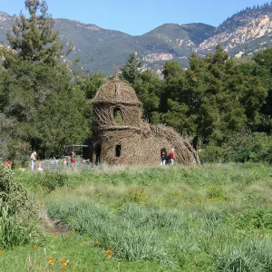 Toad Hall Construction