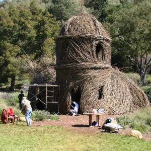 Toad Hall Construction