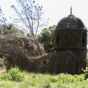 Toad Hall Construction