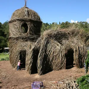 Toad Hall Construction