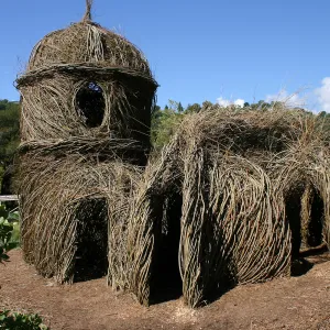Toad Hall Construction