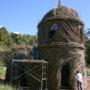 Toad Hall Construction