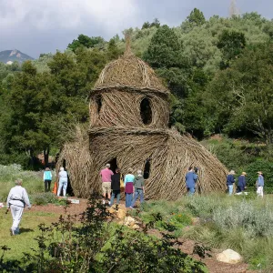 Toad Hall Construction