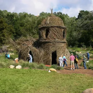 Toad Hall Construction
