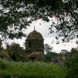 Toad Hall Members' Opening