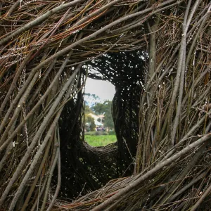 Toad Hall Members' Opening