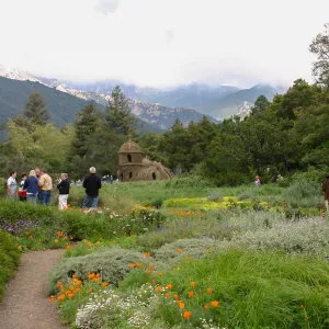 Toad Hall Members' Opening