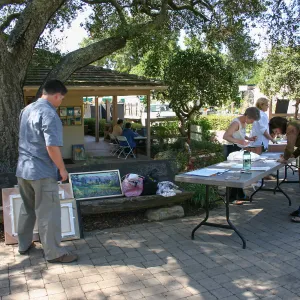 SCAPE art show and sale, artist registration