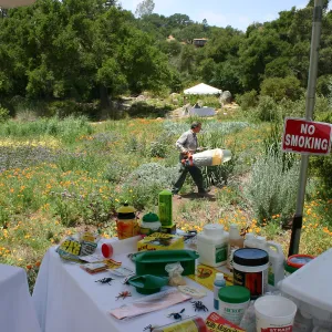 BioBlitz, insect collecting, Meadow