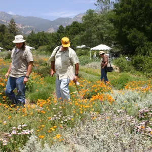 BioBlitz, Meaow, visitors