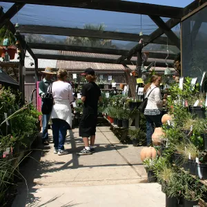 BioBlitz, Visitors at Garden Growers Nursery
