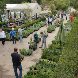 Fall Plant Sale 2018 Preview Party