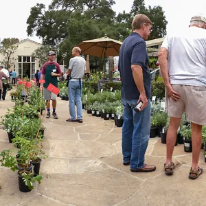 Fall Plant Sale 2018 Preview Party