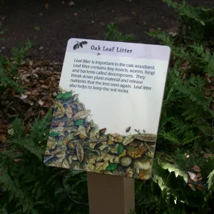 Interpretive signage, Discovery Garden