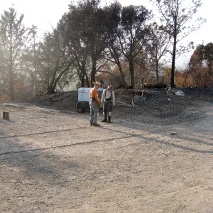 Construction of Herb Parker's â€˜Haven' labyrinth