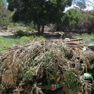 Construction of Herb Parker's â€˜Haven' labyrinth