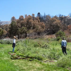 Construction of Herb Parker's â€˜Haven' labyrinth, clearing site in Meadow